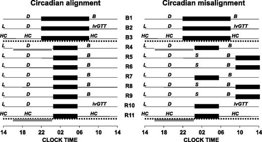 Figure 1. Schematic representation of the study design. The protocol followed a parallel group design with two experimental interventions: sleep restriction with circadian alignment (left) and sleep restriction with circadian misalignment (right). The black bars represent the periods allocated to sleep. In both groups, 3 baseline days of 10-h bedtimes (from 2200 to 0800 h; B1, B2, B3) were followed by 8 days of sleep restriction to 5-h bedtimes (R4–R11). In the circadian alignment group, all short sleep periods were centered at 0300 h (bedtimes: 0030 to 0530 h). In the circadian misalignment group, four of the eight short sleep periods (R5, R6, R8, and R9) were delayed by 8.5 h, such that sleep occurred during the daytime (0900 to 1400 h). In both groups, breakfast (B) was served between 0730 and 0830 h, lunch (L) between 1300 and 1400 h, and dinner (D) between 1900 and 1930 h. On shifted days in the misalignment group, lunch was served at 1500 h, 1 h after wakeup time, and a sandwich (S) was presented at 0100 h. Snacks were available at all times. An IVGTT was performed at 0900 h on B2 and on R10. Two 24-h sessions of blood sampling at 15- to 30-min intervals were performed on B3 and R11 (dashed lines). Caloric intake during these sessions was limited to three identical carbohydrate-rich meals (HC). No snacks were allowed. Saliva sampling at 30-min intervals was performed from 1600 to 0030 h on R4 and R11 to assess melatonin levels (gray bars).