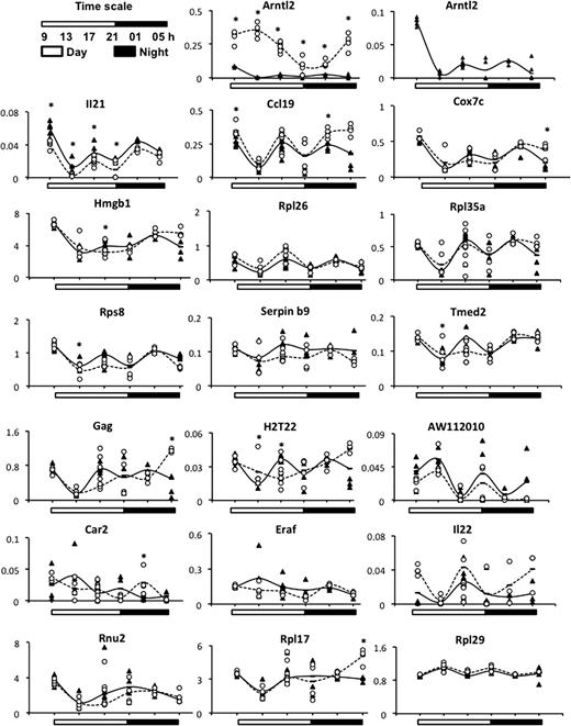 Figure 1. Circadian expression of genes in splenic CD4+ T cells from 6- to 8-week-old female mice of strain 6.VIIIa (▲) and 6.VIIIc (○) (n = 4 for all time points except for 1700 h, which is n = 8). Values on the y-axis represent arbitrary units. *P < 0.05.