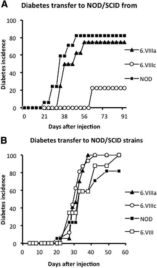 Figure 4. A: Diabetes incidence of NOD/SCID mice after transfer of CD25− splenocytes from the strains 6.VIIIa (n = 12) (P = 0.82) and 6.VIIIc (n = 11) (P = 0.026) compared with NOD CD25− (n = 17) splenocytes. B: Diabetes incidence of the strains NOD/SCID.C3H 6.VIIIa (n = 12), NOD/SCID.C3H 6.VIIIc (n = 15), NOD/SCID.C3H 6.VIII (n = 17), and NOD/SCID (n = 14) after transfer of diabetogenic CD25− NOD splenocytes. There are no significant differences.