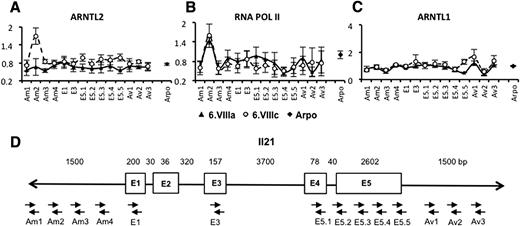 Figure 5. Analysis by ChIP-Q-PCR of the binding of ARNTL2 on Il21 in splenic CD4+ T cells of the strains 6.VIIIa and 6.VIIIc. ChIP using an anti-ARNTL2 antibody (A), an anti-RNA polymerase (Pol) II antibody (B), and an anti-ARNTL1 antibody (C). Results are compared with those for the transcription start site of Arpo. ARNTL2 binds on Il21 in strain 6.VIIIc but not in strain 6.VIIIa (position Am2). Figure shows three experiments ± SE. D: Representation of the structure of the Il21 gene and primer localization.