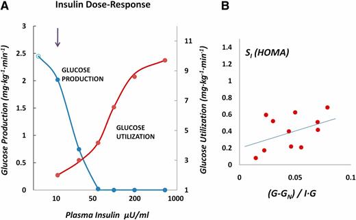 Figure 1. A: Dose-response to insulin of glucose production and utilization (uptake). Adapted from ref. 28 with point in hypoinsulinemic range from ref. 29. Normal fasting operating point is indicated by the arrow. B: Plot of Eq. 14 using data from diabetic subjects in ref. 27. Intercept of the regression line, with GN = 3.5, corresponds to SI/SIN and is 0.2, which is lower than the average SI (HOMA) of 0.4.