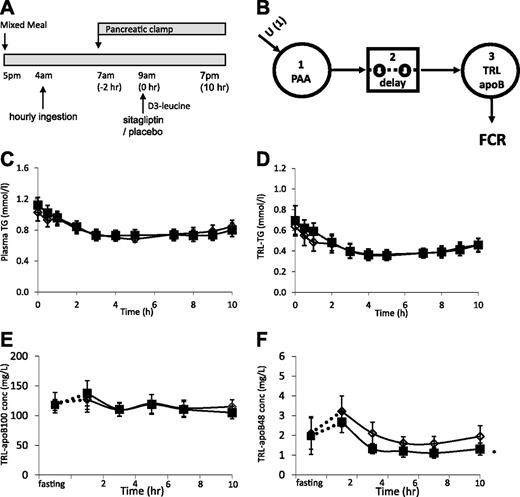 Figure 1. A: Schematic representation of the experimental design. Hourly ingestion of a liquid formula was started at 4:00 a.m. to achieve a constant fed state. A pancreatic clamp (with infusion of somatostatin, insulin, glucagon, and growth hormone) was started 3 h later. Two hours into the pancreatic clamp, sitagliptin (100 mg) or placebo was administered orally, and a primed, constant infusion of d3-leucine was started. Frequent blood samples were drawn for isolation of TRL fractions, gel separation of apoB-100 and apoB-48, and gas chromatography–mass spectrometry quantification of stable isotopic enrichment. B: Compartmental model for estimating TRL apoB-100 and apoB-48 FCRs. The model consists of 1) a plasma amino acid (PAA; leucine) precursor pool, 2) a delay compartment, and 3) a plasma TRL compartment. Plasma TG (C), TRL TG (D), TRL apoB-100 (E), and TRL apoB-48 (F) concentrations during the kinetic study. The “fasting” sample was taken after a 14-h overnight fast the day prior to the study. Open diamond, placebo; solid squares, sitagliptin; PAA, plasma amino acids; conc, concentration. *P < 0.05, sitagliptin vs. placebo.