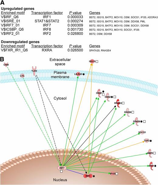 Figure 2. Transcriptional regulation during the pathogenesis of T1D. A: Transcription factor binding sites enriched among the promoters of the differentially up- and downregulated genes in the seroconverted individuals. Overrepresented sites in the ±2-kb region around the transcription start site of the regulated genes were identified using the transcription factor target sets in the Molecular Signatures Database (14). Binding sites with P < 0.05 and a known transcription factor are presented (hypergeometric test). See Supplementary Table 1 for more details. B: IRF5 and IRF7, the most highly regulated transcription factors in the seroconverted children, and their central role in the seroconversion-specific transcription. The network was generated with the IPA network neighborhood tool, and it shows all of the IRF5- and -7–connected genes (nodes) that were differentially regulated in the seroconverters (FDR <0.05). The genes are organized according to their cellular localization, and red color indicates upregulation of the gene in the seroconverted case subjects compared with the matched control subjects. The genes regulating IRF5 or -7 are presented on the left, and the downstream target genes of IRF5 or -7 on the right. Solid edge indicates direct interaction and dashed edge indirect interaction. Transcriptional induction/reduction is marked with green color, promoter binding with orange, and mixed interactions with black. Black circles represent genes having a cis eQTL effect with SNPs residing in a window of ±250 kb around the gene coordinates (Supplementary Table 1); white squares indicate genes belonging to the T1D-associated human IRF7-mediated immune response network genetically identified by Heinig et al. (44). RXRA, retinoid X receptor, alpha; STAT, signal transducer and activator of transcription.