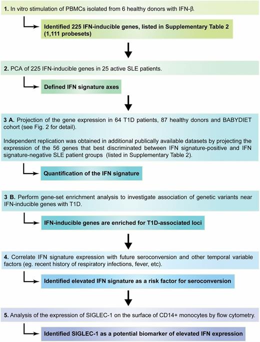 Figure 1. Workflow of the study’s experimental design. The diagram depicts the different stages of the study and the main outcomes of each stage.