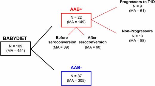 Figure 2. Summary diagram of the BABYDIET cohort. The diagram represents the division of the 109 BABYDIET children and microarray samples according to seroconversion and progression to T1D. AAB, T1D-specific autoantibodies (see Research Design and Methods for details); MA, number of microarray measurements; N, number of individuals.