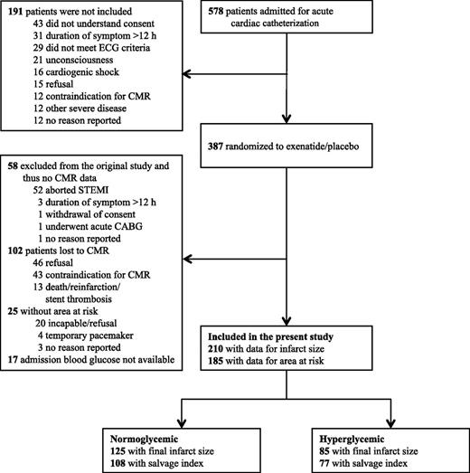 Figure 2. Flowchart of patient disposition. CABG, coronary artery bypass graft surgery.