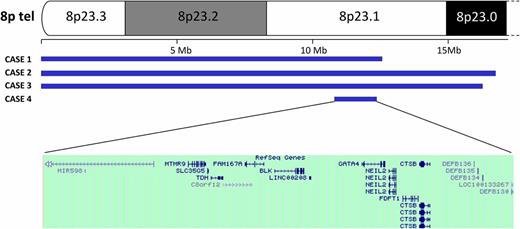 Figure 1. Schematic diagram indicating the extent of the deletion on chromosome 8p in Cases 1−4 and gene content (Hg19) of the minimal deleted interval.