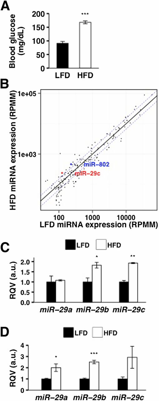 Figure 1. Hepatic miR-29 levels are upregulated in diet-induced insulin resistance in mice. A: Fasting blood glucose levels of C57BL/6J female mice on HFD for 16 weeks (n = 3) and matched LFD for 16 weeks (n = 3) are shown. B: miRNA expression levels (RPMM, reads per million mapped reads) based on deep sequencing analysis of small RNAs from the livers of HFD-fed (n = 2) and LFD-fed (n = 2) C57BL/6J female mice are shown. Each circle represents a miRNA that is expressed at RPMM >100 in at least one murine liver sample. Dashed blue lines represent 1.5-fold difference in expression between HFD-fed and LFD-fed mice. C: Relative levels (based on sequencing) of miR-29a, miR-29b, and miR-29c in the livers of HFD-fed (n = 2) and LFD-fed (n = 2) C57BL/6J female mice are shown. D: Relative levels (based on RT-qPCR) of miR-29a, miR-29b, and miR-29c in the livers of HFD-fed (n = 3) and LFD-fed (n = 3) C57BL/6J female mice are shown. P values were calculated according to the one-tailed unpaired Student t test. a.u., arbitrary unit. *P < 0.05; **P < 0.01; ***P < 0.001.