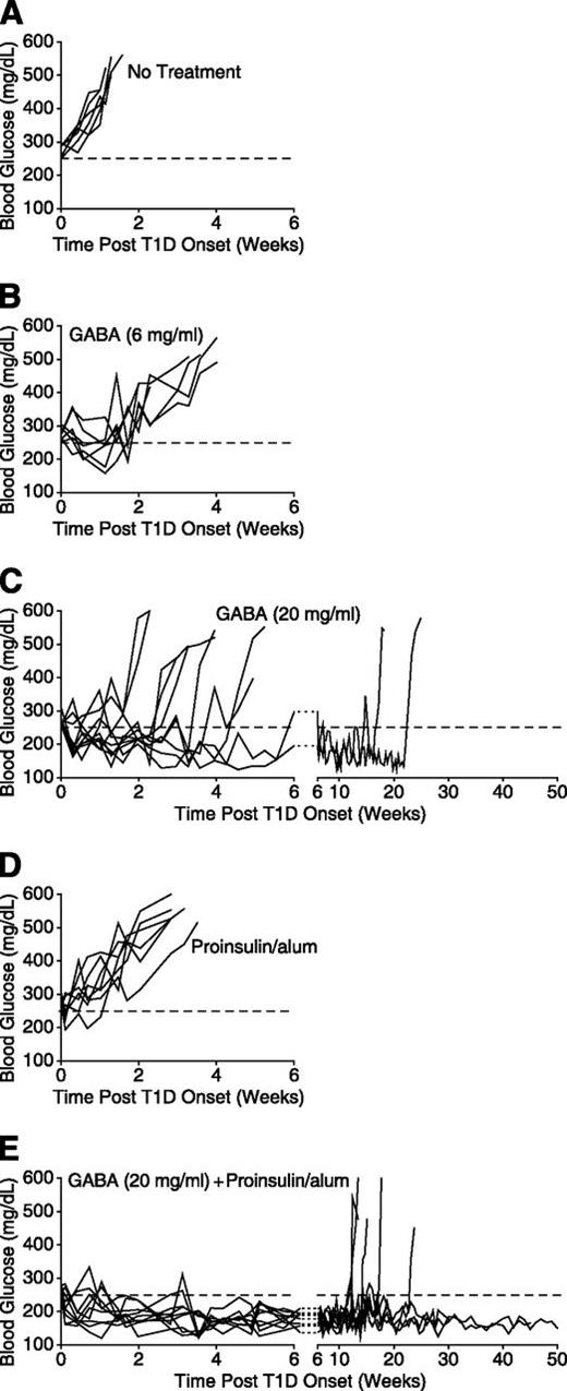 Figure 1. Longitudinal blood glucose levels in newly diabetic NOD given GABA or proinsulin/alum monotherapy or combined treatment. Newly diabetic NOD mice (with two blood glucose levels >250 mg/dL recorded on consecutive days) were untreated (n = 6) (A) or were continually given GABA, 6 mg/mL (n = 7) (B), or GABA, 20 mg/mL (n = 10) (C), through their drinking water. Other groups of mice received proinsulin/alum monotherapy (n = 7) (D) or combined proinsulin/alum + GABA, 20 mg/mL (n = 9) (E). Four of the mice shown in E remained normoglycemic at 20, 30, 45, and 50 weeks after initiating treatment (at the time of manuscript proofing). Data shown are longitudinal blood glucose levels for individual mice. Note the change of scale in C and E. The dashed line indicates a blood glucose level of 250 mg/dL. Combined therapy significantly prolonged the period of normoglycemia compared with GABA (20 mg/mL) monotherapy (P = 0.001 by the log-rank test).