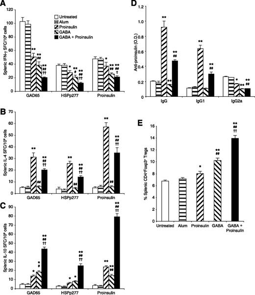 Figure 2. Effect of monotherapy and combined therapy on T-cell immunity and humoral responses. NOD mice at 15 weeks of age were treated with alum, proinsulin/alum, GABA, or proinsulin/alum + GABA, as described in Research Design and Methods. A control group of mice received no treatment. Ten days after completing treatment, their splenic T cells were isolated, and the frequency of T cells secreting IFN-γ (A), IL-4 (B), or IL-10 (C) in response to MSA, proinsulin, GAD65, or HSPp277 was determined by ELISPOT. Responses to control MSA were at background levels in all mice (data not shown). Data are expressed as the mean number of spot-forming cells (SFCs) ±SEM per million splenic mononuclear cells. D: The levels of proinsulin-specific IgG, IgG1, and IgG2a antibodies, as determined by ELISA. Data are expressed as the mean optical density (O.D.) value ± SEM for each group. E: Effect of monotherapy and combined therapies on Treg responses, as determined by flow cytometry. Data are expressed as the mean percentage of Tregs ± SEM. The experimental and control groups of mice (n = 5 per group) were tested simultaneously in two separate experiments. *P < 0.05, **P < 0.01 vs. the control. #P < 0.05, ##P < 0.01 vs. the proinsulin/alum group. †P < 0.05, ††P < 0.01 vs. the GABA group.