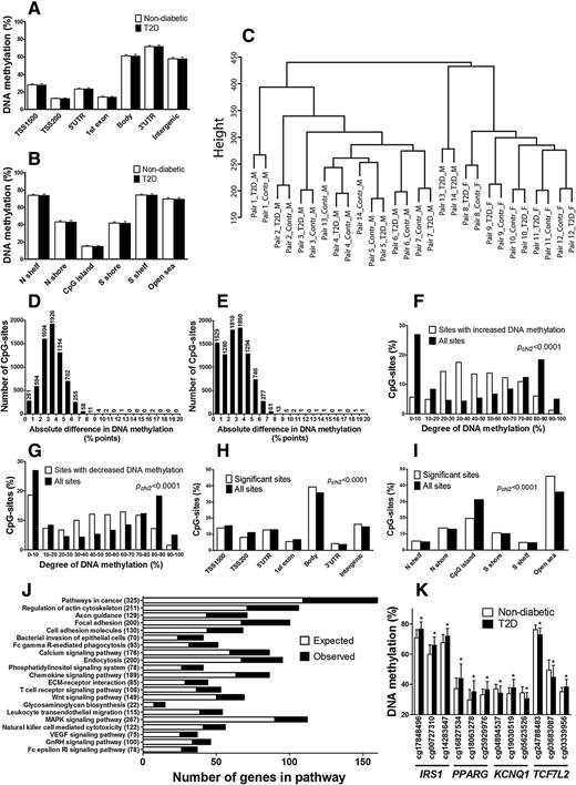 Figure 2. Impact of T2D on DNA methylation in human adipose tissue. Global DNA methylation in human adipose tissue of nondiabetic and T2D co-twins is shown for the nearest gene regions (A) and CpG island regions (B). Global DNA methylation is calculated as the average DNA methylation based on all CpG sites in each annotated region on the Infinium HumanMethylation450 BeadChip and is shown as the mean ± SD. TSS, proximal promoter, defined as 200 or 1,500 bp upstream of the transcription start site. Shore, flanking region of CpG islands (0–2,000 bp); Shelf, regions flanking island shores (2,000–4,000 bp from the CpG island). N, northern; S, southern. C: Cluster dendogram to visualize the overall relationship between DNA methylation profiles of individuals in the discordant twin cohort. Contr, nondiabetic subject; F, female; M, male. The cluster dendogram was generated using a hierarchical cluster analysis in R (http://stat.ethz.ch/R-manual/R-patched/library/stats/html/hclust.html). The absolute differences in DNA methylation of 15,627 individual sites, including 6,754 sites with increased (D) and 8,873 sites with decreased (E) DNA methylation in 28 diabetic subjects compared with 28 nondiabetic unrelated subjects in case-control cohort 2. The degree of DNA methylation in adipose tissue of the 28 nondiabetic subjects is shown for the 6,754 CpG sites with increased DNA methylation (F) and the 8,873 CpG sites with decreased DNA methylation (G) in 28 diabetic compared with 28 nondiabetic unrelated subjects in comparison with the degree of methylation of all analyzed CpG sites using the Infinium HumanMethylation450 BeadChip. Distributions of individual sites that exhibit differential DNA methylation in adipose tissue from 28 diabetic compared with 28 nondiabetic unrelated subjects in relation to nearest gene regions (H) and CpG island regions (I). The distribution of the significant sites compared with the distribution of all analyzed sites on the Infinium HumanMethylation450 BeadChip is significantly different (P values) from what is expected by chance based on χ2 tests (Pchi2). J: Significantly enriched KEGG pathways (FDR-adjusted P values <0.05) of genes that exhibit differential methylation in adipose tissue from 28 diabetic vs. 28 nondiabetic unrelated subjects. ECM, extracellular matrix; MAPK, mitogen-activated protein kinase; VEGF, vascular endothelial growth factor; GnRH, gonadotropin-releasing hormone; RI, receptor 1. K: Differential DNA methylation of IRS1, PPARG, KCNQ1, and TCF7L2 in adipose tissue from 28 diabetic vs. 28 nondiabetic unrelated subjects. The three most significant sites for each gene are presented. Data are shown as the mean ± SD. *q < 0.15 compared with nondiabetic subjects.