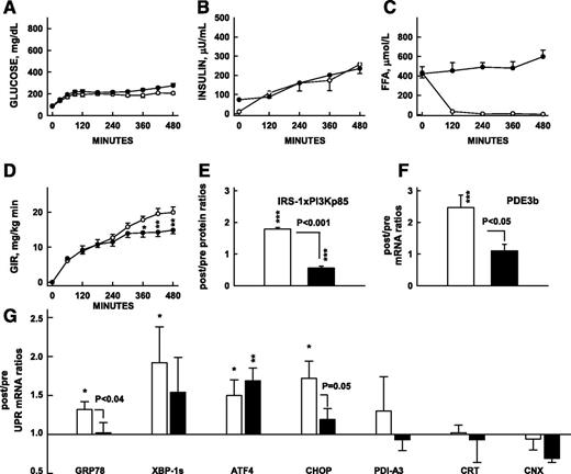 Figure 1. Effects of lipid-induced insulin resistance on UPR mRNA. Effects of 8-h hyperglycemic-hyperinsulinemic clamps with (closed symbols) or without (open symbols) lipid/heparin infusions on plasma glucose, insulin, and FFA concentrations and GIRs needed to maintain hyperglycemia (GIR) (A–D) on after/before ratios of IRS-1–associated PI3K (p85) protein and after/before mRNA of PDE3b, two insulin targets in adipose tissue (E and F) and seven UPR after/before mRNA ratios (G). Shown are means ± SE; *P < 0.05, **P < 0.02, ***P < 0.01 compared with before/after ratios of 1.0 (paired Student t test). CNX, calnexin; CRT, calreticulin; IRS1xPI3Kp85, IRS1-associated PI3K 85 KD protein; PDI-A3, protein disulfide-isomerase A3.