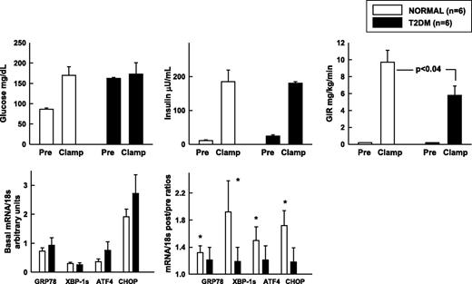 Figure 2. Effects of comparable hyperglycemia hyperinsulinemia for 8 h on GIR and UPR mRNA in patients with T2DM and nondiabetic control subjects. Insulin was infused at 2 mU/kg/min in T2DM patients and in nondiabetic control subjects. In T2DM patients, glucose was clamped at isoglycemic levels (i.e., at their postabsorptive hyperglycemic levels). Shown are means ± SE preclamp and clamp (60–240 min) glucose, insulin, and GIR values. Basal UPR mRNA/18s and after/before UPR mRNA/18s ratios, *P < 0.05 compared with an after/before ratio of 1.0.