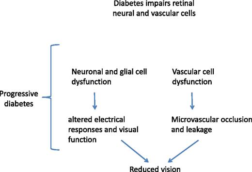 Figure 1. Both retinal and vascular dysfunction have been linked to vision loss. The temporal and possible causal relationship between the two insults are largely unknown.