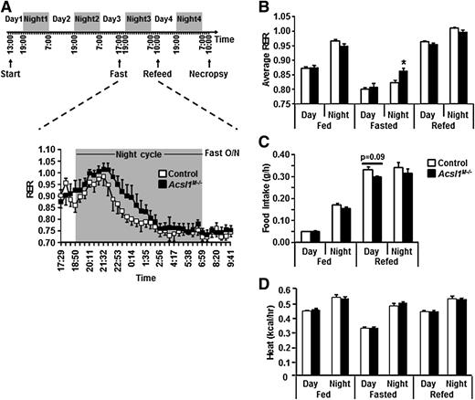 Figure 3. Acsl1M−/− mice used more glucose as fuel source. A: Male mice (13 wk) were placed in metabolic chambers at 1:00 p.m. and measurements were taken for 2 days before overnight (O/N; 5:00 p.m. to 10:00 a.m.) fasting. Mice were then refed with chow for 24 h (n = 4); RER (VCO2/VO2) was monitored by indirect calorimetry during O/N fasting. Average RER (B), food intake (C), and heat production (D) during day and night cycles when the mice were fed, fasted, or refed. *P < 0.05, compared with control.