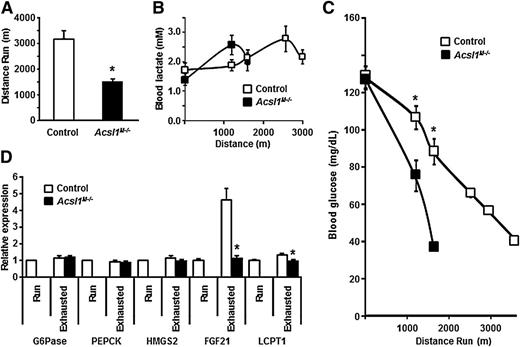 Figure 4. Muscle ACSL1 deficiency impaired endurance capacity. A: Total distance run during treadmill endurance exercise for Acsl1M−/− mice (16 weeks of age, female). Blood lactate (B) and glucose (C) levels during endurance exercise. *P < 0.05, glucose from exhausted Acsl1M−/− mice compared with control mice that had run same distance (Run). D: mRNA expression of glucose-6-phosphatase (G6Pase), phosphoenolpyruvate carboxykinase (PEPCK), FGF21, hydroxymethylglutaryl-CoA synthase-2 (HMGS2), and liver CPT1 (LCPT1) (n = 5–13). *P < 0.05, compared with exhausted controls. Run, data from control mice collected at the time their Acsl1M−/− littermates were exhausted.