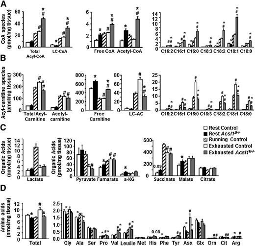 Figure 5. Metabolite changes in Acsl1M−/− gastrocnemius muscle during endurance exercise (16–26 weeks of age, female). A: Muscle free- and acyl-CoAs. B: Muscle free- and acyl-carnitines. C: Muscle Krebs cycle intermediates. D: Muscle amino acids (n = 5–9). #P < 0.05, vs. 4-h state (same genotype); *P < 0.05, vs. control (same treatment). Running, data from control mice collected when their Acsl1M−/− littermates were exhausted. a-KG, α-ketoglutarate; LC-AC, long-chain acyl-carnitine; LC-CoA, long-chain acyl-CoA; C, carbon number.
