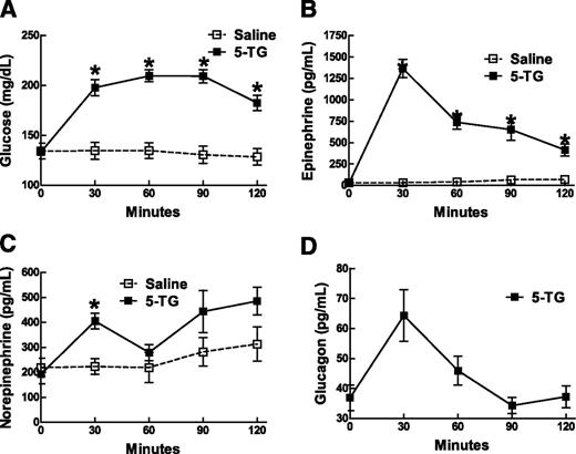Figure 2. Effects of local PFH glucoprivation on glucoregulatory hormone release. Rats (n = 4–8/group) were infused bilaterally with 5-TG (60 μg in 0.5 μL) or vehicle (saline) in the PFH. Results are shown for blood glucose (A), epinephrine (B), norepinephrine (C), and glucagon (D). Data points are mean ± SEM. *P = 0.05 or less between 5-TG and saline groups at each time point by t test after responses over 2 h were significant by one-way repeated-measures ANOVA. Glucagon levels in saline controls (2D) were below assay detection limits.