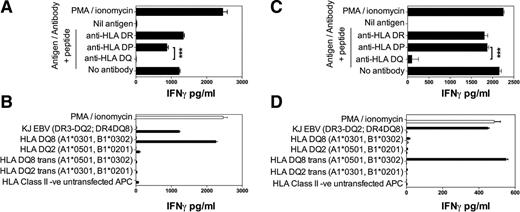 Figure 2. Analysis of the clone’s HLA restriction. Antibodies against HLA-DR, -DP, and -DQ were included in the peptide stimulation assays. A and B: The HLA restriction analysis of clone 6.15. A: Responses to proinsulin peptide are inhibited by a monoclonal antibody to HLA-DQ (clone SPV-L3), but not HLA-DP (clone B7/21) or HLA-DR (clone L243) at 1.0 μg/mL. Anti-HLA-DQ significantly inhibited IFN-γ secretion (***P < 0.0001, two-tailed t test). B: IFN-γ secretion in response to antigen-presenting cells (APC; T2) expressing the HLA molecules indicated. C and D: HLA restriction analysis for clone 3.15. C: This clone’s response to proinsulin peptide (proinsulin 43–60) was also significantly blocked by a monoclonal antibody to HLA-DQ (***P < 0.0001, two-tailed t test). D: Clone 3.15 (and clone 2.4; see Supplementary Figs. 3 and 4), responded to proinsulin peptide presented by antigen-presenting cells that expressed the HLA-DQ8 transdimer (DQA1*05:01, DQB1*03:02). All graphs show the mean of triplicate IFN-γ concentration measurements, and the bars represent the SEM. Each experiment was performed at least twice, with similar results. PMA, phorbol 12-myristate 13-acetate.