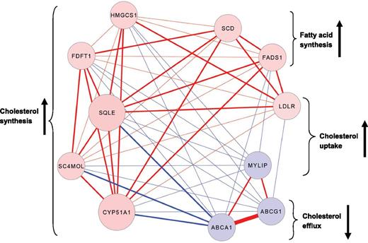 Figure 3. BMI-associated expression patterns of the 11 intercorrelated genes in the cyan module reveal altered cholesterol regulation. Absolute correlation coefficients between expression of cyan module genes in 1,264 monocyte samples range from 0.3 to 0.7, indicated by line thickness. Positive correlations between genes are indicated by red lines (negative = blue), positive associations between gene expression and BMI are indicated by red nodes (negative = blue), and the strength of the correlation between genes and the cyan module eigengene is indicated by node size. The anticipated effects of BMI-associated gene expression on intracellular cholesterol levels and fatty acid synthesis are indicated by brackets/arrows. Cyan module genes include 3-hydroxy-3-methylglutaryl-CoA synthase 1 (HMGCS1); farnesyl-diphosphate farnesyltransferase 1 (FDFT1); squalene epoxidase (SQLE); methylsterol monooxygenase 1 (SC4MOL); cytochrome P450, family 51, subfamily A, polypeptide 1 (CYP51A1); stearoyl-CoA desaturase (SCD); fatty acid desaturase 1 (FADS1); low density lipoprotein receptor (LDLR); myosin regulatory light chain interacting protein (MYLIP); ATP-binding cassette, subfamily G, member 1 (ABCG1); and ATP-binding cassette, subfamily A, member 1 (ABCA1).