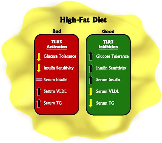 Figure 1. Modulation of TLR3 activity alters metabolic activity in response to an HFD. TLR3 activation decreases glucose tolerance and insulin sensitivity, while increasing serum VLDL and TG. Conversely, inhibition of TLR3 increases glucose tolerance, insulin sensitivity, and serum insulin, while decreasing serum VLDL and TG.