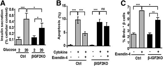 Figure 2. β-Cell–specific inactivation of igf2 decreases insulin secretion and reduces the trophic effects of exendin-4 on β-cells. A: GSIS from islets isolated from Ctrl and βIGF2KO mice. B: Cytokine-induced apoptosis and protection by exendin-4 in Ctrl and βIGF2KO mice. C: β-Cell proliferation induced by a 24-h exposure to 10 nmol/L exendin-4 and measured by BrdU labeling in β-cells. Data are the mean ± SD. n = 3 independent experiments. *P < 0.05; **P < 0.01; ***P < 0.001.