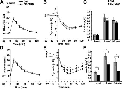 Figure 3. Impaired glucose homeostasis in old βIGF2KO female mice. Glucose tolerance (A), insulin tolerance (B), and glucose-stimulated plasma insulin levels (C) in 6- to 8-week-old female Ctrl and βIGF2KO mice measured at the indicated times after an intraperitoneal glucose bolus. Glucose tolerance (D), insulin tolerance (E), and GSIS (F) in 24- to 26-week-old female Ctrl and βIGF2KO mice. The defect in glucose-stimulated plasma insulin levels is compensated for by increased insulin sensitivity to preserve normoglycemia. Data are the mean ± SEM. n = 9–14. *P < 0.05 vs. Ctrl mice.