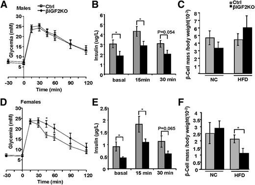 Figure 4. HFD feeding induces defect in GSIS in both sexes but reduced β-cell mass only in female mice. A: Glucose tolerance test in Ctrl and βIGF2KO male mice fed an HFD for 18 weeks from 6 weeks of age. B: GSIS measured in the plasma at the indicated time after an intraperitoneal glucose bolus. C: β-Cell mass in NC- and HFD-fed Ctrl and βIGF2KO male mice at 24–26 weeks of age. D: Glucose tolerance test in Ctrl and βIGF2KO female mice fed a HFD for 18 weeks from 6 weeks of age. E: GSIS measured in the plasma at the indicated time after an intraperitoneal glucose bolus. F: β-Cell mass (relative to body weight) in NC- and HFD-fed Ctrl and βIGF2KO male mice at 24–26 weeks of age. Data are the mean ± SEM. n = 9–12. *P < 0.05 vs. Ctrl mice.