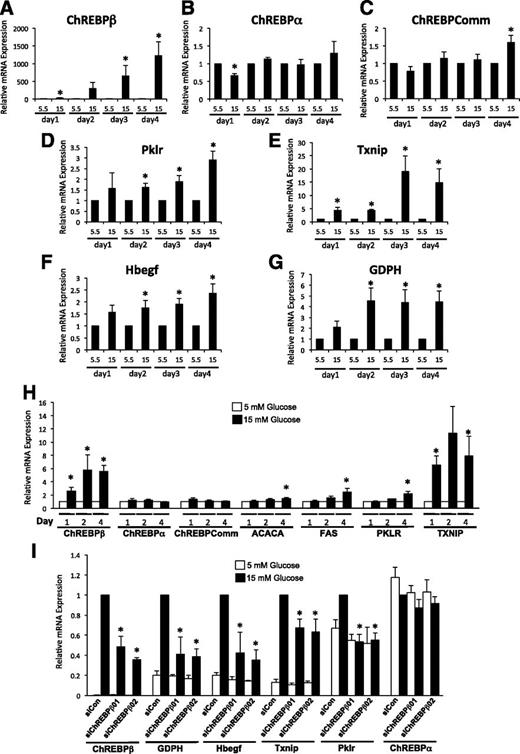 Figure 2. Glucose induces ChREBPβ in primary rat and human islet cells. A–G: Dispersed rat islet cells were incubated in media containing 5.5 or 15 mmol/L glucose for 1 to 4 days, and the expression of the indicated genes were determined and shown as fold change relative to each day after normalizing to β-actin using the ΔΔCT method. H: Isolated human islet cells were cultured in media containing 5.5 or 15 mmol/L glucose for 1, 2, or 4 days. Total RNA was isolated and subjected to RT-PCR using primers specific for the indicated genes. The data are expressed as a fold change from 5.5 mmol/L glucose. I: Rat islets were isolated, dispersed, and incubated with lipid-conjugated Accell siRNA for 4 days. Total RNA was isolated and subjected to RT-PCR. Data are presented as relative to the scramble control (SiCon) 15 mmol/L treatment, after normalization to β-actin using the ΔΔCT method. Error bars are the SEM (n = 3–4 for rat islets, n = 5–9 for human islets). ChREBPComm, ChREBP-common; siChREBPβ01 and -02, siRNAs directed against ChREBPβ. *P < 0.05.