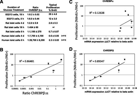 Figure 5. Correlation of proliferation and ChREBPβ expression of pancreatic β-cells. A: The ratios of ChREBPβ to ChREBPα are displayed in relation to percent BrdU incorporation for each of the indicated model systems after expression for the indicated times in 15 or 20 mmol/L glucose was measured in absolute terms, using the ΔΔCT method relative to β-actin and adjusting for primer efficiency. Data are listed in the order of highest to lowest BrdU incorporation, corresponding to highest to lowest ChREBPβ-to-ChREBPα ratio. nd, not determined. B: Data from primary rodent and human cells from A were plotted on a double log scale and fitted with a power least squares fit and R2 value, calculated in Excel. We note that inclusion of data from INS-1–derived insulinoma cells decreased the R2 value to 0.84. Data from ChREBPα (C) and ChREBPβ (D) and their relation to proliferation are presented separately (n = 3–5). The error bars represent the SEM.