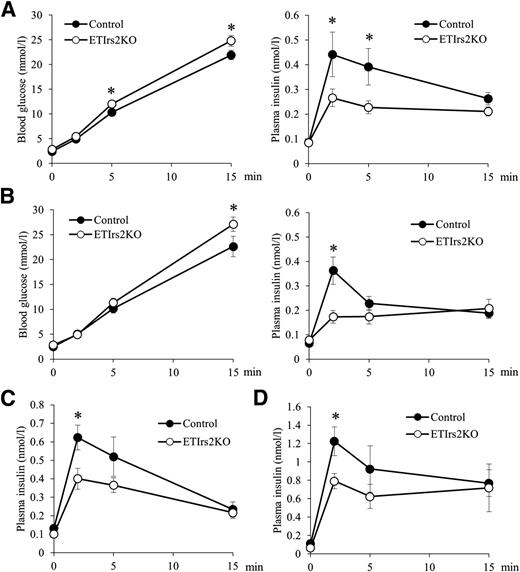 Figure 1. Insulin secretion was impaired in the ETIrs2KO mice. Blood glucose levels (left) and plasma insulin levels (right) during an intraperitoneal glucose tolerance test in the control and ETIrs2KO mice at 12 (A) and 24 (B) weeks (n = 9–10). C: Plasma insulin levels during an intraperitoneal glucagon tolerance test in the control and ETIrs2KO mice at 14 weeks (n = 9–10). D: Plasma insulin levels during an intraperitoneal arginine tolerance test in the control and ETIrs2KO mice at 13 weeks (n = 9–10). Values are the mean ± SE. *P < 0.05.