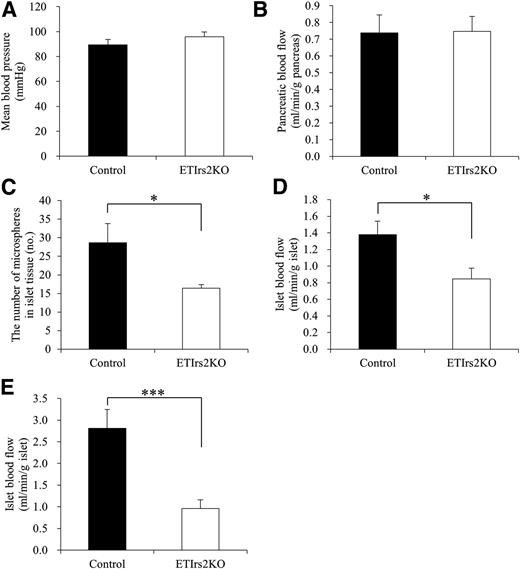 Figure 4. The islet blood flow was significantly decreased in the ETIrs2KO mice. The mean blood pressure (A), pancreatic blood flow (B), the number of microspheres in islet tissue (C), and islet blood flow (D) in anesthetized 9–12-week-old control and ETIrs2KO mice in the basal state (n = 10). E: The islet blood flow in anesthetized 9-week-old control and ETIrs2KO mice in the insulin-treated state (n = 10). Values are the mean ± SE. *P < 0.05, ***P < 0.001.