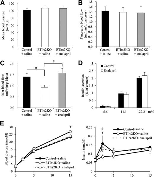 Figure 6. Islet blood flow was improved by treatment with an ACE inhibitor, enalapril maleate, resulting in the amelioration of insulin secretion in the ETIrs2KO mice. The mean blood pressure (A), the pancreatic blood flow (B), and the islet blood flow (C) in anesthetized 9–12-week-old control and ETIrs2KO mice at 10 min after the intravenous injection of saline or enalapril maleate (n = 10). D: Effect of enalapril maleate on glucose-induced insulin secretion using batch-incubated islets of C57BL/6J mice at 12 weeks (n = 5). E: Blood glucose levels (left) and plasma insulin levels (right) during an intraperitoneal glucose tolerance test in 12-week-old control and ETIrs2KO mice at 10 min after the intravenous injection of saline or enalapril maleate (n = 11–13). Values are the mean ± SE. *P < 0.05, control + saline vs. ETIrs2KO mice + saline; #P < 0.05, ETIrs2KO mice + saline vs. ETIrs2KO mice + enalapril.