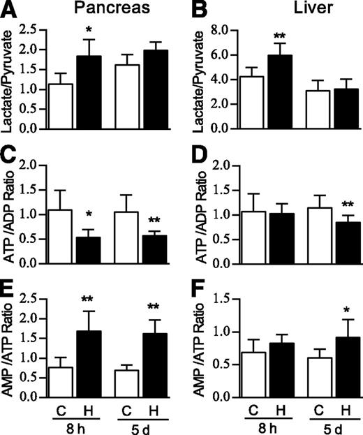 Figure 2. Metabolic changes of rat pancreas and liver after 5,000 m hypoxia for 8 h or 5 days. Hypoxia for 8 h increased the lactate/pyruvate ratio in pancreas (A) and liver (B) and decreased the ATP/ADP ratio in pancreas (C), whereas 5 days of hypoxia reduced the ATP/ADP ratio in both pancreas (C) and liver (D). The AMP/ATP ratio in pancreas (E) was increased with 8 h or 5 days of hypoxia, and AMP/ATP in liver (F) was elevated only with 5 days of hypoxia. n = 7 in each group. *P < 0.05, **P < 0.01 vs. each control group. C, control; H, hypoxia.