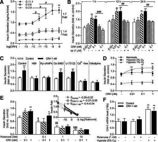 Figure 3. Hypoxia and ATP deficiency inactivates the insulinotropic action of CRH in isolated rat islets. CRH augmented insulin secretion at 5.6 and 11.1 mmol/L glucose but not at 2.8 mmol/L for 1 h. The CRH-induced maximum magnitude of insulin was at 1.7-fold at 11.1 mmol/L glucose and 1.4-fold at 5.6 mmol/L glucose (A). CRH persistently enhanced insulin secretion at 5.6 mmol/L glucose at 1, 12, and 24 h, and this was blocked by pretreatment with cp-154,526 (cp) (B). The insulinotropic action of CRH was blocked by PKA inhibitors (10 μmol/L H89 and Rp-8-Br-cAMPs [Rp-cAMP]), an L-type calcium channel inhibitor (10 μmol/L nifedipine), and in calcium-free solution (2 mmol/L EGTA) at 5.6 mmol/L glucose; this effect was not changed by inhibitors of protein kinase C (Go 6983) and phospholipase C (U-73122) (C). Hypoxia (5% or 1% O2) abolished the insulinotropic action of CRH on 24-h insulin secretion at 5.6 mmol/L glucose (D). CRH 1 nmol/L stimulated insulin secretion with 0.1 nmol/L rotenone, but this effect did not occur with 1 or 10 nmol/L rotenone at 5.6 mmol/L glucose. Linear regression analysis showed a correlation between rotenone concentration and insulin secretion at three doses of CRH (each slope is shown in the inset) (E). Crhr1 mRNA expression was high in islets under hypoxia (5% O2) but not under rotenone (1 nmol/L)-induced ATP-deficient conditions (F). n = 3–4 in each group. *P < 0.05, **P < 0.01 vs. each control group; $P < 0.05, $$P < 0.01, $$$P < 0.001 vs. vehicle treatment group; #P < 0.05, ##P < 0.01, ###P < 0.001.