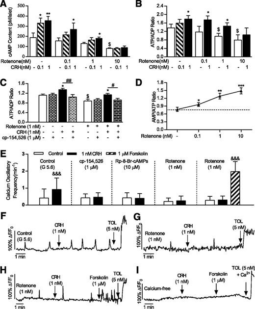 Figure 4. Low cAMP and calcium oscillations suppress the insulinotropic action of CRH under the ATP-deficient condition. The CRH-induced high cAMP level (A) and ATP/ADP ratio (B) were attenuated or abolished by rotenone pretreatment. The CRH-induced increase of the ATP/ADP ratio was blocked by the CRHR1 antagonist with or without 1 nmol/L rotenone (C). The AMP/ATP ratio was elevated by rotenone pretreatment (D). CRH increased the calcium oscillatory frequency of β-cells in the normal condition, and this increase was abolished by cp-154,526 or Rp-8-Br-cAMPs (E). However, CRH did not increase the calcium oscillatory frequency in β-cells under the ATP-deficient condition (F–H). Calcium signaling patterns of single β-cells under the CRH challenge in normal (F), ATP-deficient (G and H), and calcium-free conditions (I). In A–D, n = 3–4 per group. *P < 0.05, **P < 0.01, ***P < 0.001 vs. each control group; $P < 0.05 vs. vehicle treatment group; #P < 0.05, ##P < 0.01 vs. cp-154,526 group. In E, n = 30–40 β-cells from more than five islets in five rats. &&&P < 0.001 vs. control group. TOL, tolbutamide.
