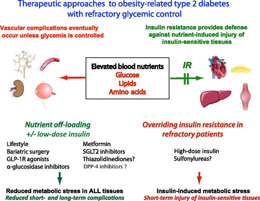 Figure 3. The potential benefit of nutrient off-loading approaches compared with the overriding of IR to lower blood glucose in subjects with poorly controlled T2D. Insulin-responsive tissues, such as the heart, skeletal muscle, adipose tissue, and the liver, are able to protect themselves from nutrient-induced damage by developing IR. Other tissues, such as nerves, eye, kidney, and the vasculature, are less protected by IR. The clinician has the choice to 1) treat the hyperglycemia with enough insulin to override IR and reduce nutrient toxicity in tissues at longer-term risk of microvascular complications but with the risk of increasing insulin-induced metabolic stress in the insulin-responsive tissues or to 2) use alternative nutrient off-loading approaches to glucose lowering to benefit all tissues. Insulin-induced metabolic stress is more likely to occur with high-dose insulin therapy in patients who are refractory to improved glycemic regulation. Sulfonylureas could potentially have similar effects to high-dose insulin as they increase insulin levels without effect to nutrient off-load. Bariatric surgery, GLP-1 receptor (GLP-1R) agonists, α-glucosidase inhibitors, and SGLT2 inhibitors have well-known mechanisms by which they nutrient off-load. Metformin likely detoxifies nutrients because it is a mild inhibitor of mitochondrial function that is thought to activate AMPK in liver and other tissues. TZDs, via promoting nutrient partitioning to adipose tissue, may nutrient off-load other more critical tissues. DPP-4 inhibitors do not appear to have nutrient off-loading effects.