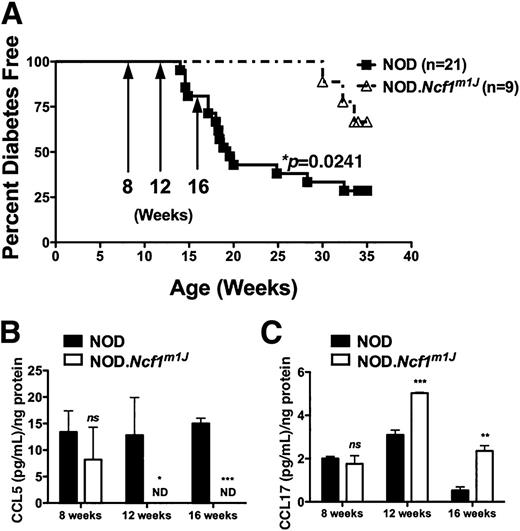 Figure 1. NOD.Ncf1m1J mice are protected against T1D, and display skewed CCL5 and CCL17 serum levels during disease progression. A: Kaplan-Meier survival curve of NOD and NOD.Ncf1m1J female mice. Chemokine analysis of sera from 8-, 12-, and 16-week-old female NOD and NOD.Ncf1m1J mice for CCL5 (B) and CCL17 (C) via Cytokine/Chemokine Magnetic Bead Panel Immunoassay and ELISA, respectively. Values represent the SEM of pooled sera from three to four individual mice normalized to the amount of protein. Data are representative of four independent experiments. ***P < 0.001; **P < 0.01; *P < 0.05. ND, not detected; ns, not significant.