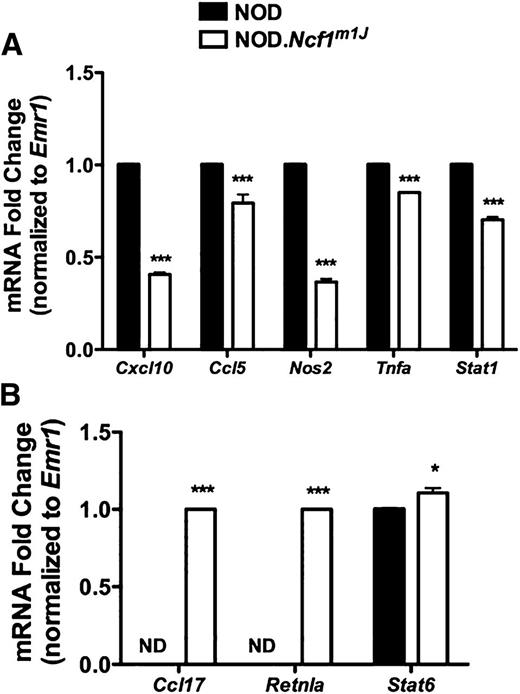 Figure 3. NOD.Ncf1m1J islets display decreased M1 and enhanced M2 macrophage transcript accumulation with Emr1 (F4/80) normalization. Quantitative RT-PCR analysis of 16-week-old (A and B) female NOD and NOD.Ncf1m1J islets for M1 (A) and M2 (B) macrophage markers. Data represent the average of three experiments, plated in triplicate. Quantitative RT-PCR statistical analyses were performed relative to the NOD control normalized to 1, except when NOD was not detected. ***P < 0.001; *P < 0.05. ND, not detected.