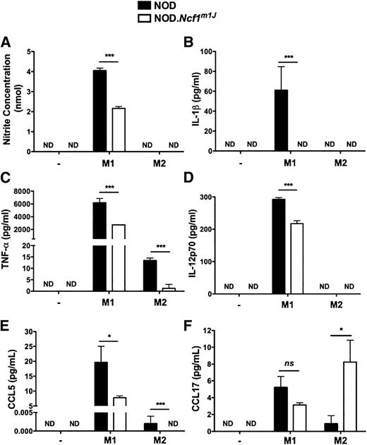 Figure 7. Polarized NOD.Ncf1m1J BM-Mϕs display reduced M1 and enhanced M2 macrophage markers. The synthesis of nitrite (A), IL-1β (B), TNF-α (C), IL-12p70 (D), and CCL5 (E) was analyzed using NOD and NOD.Ncf1m1J BM-Mϕs incubated for 12 h under M1 or M2 polarization conditions, respectively. F: The production of CCL17 was analyzed using NOD and NOD.Ncf1m1J BM-Mϕs incubated for 3 h with M1 and M2 polarization cocktails. Statistical analysis represents the average of three independent experiments. ***P < 0.001; *P < 0.05. ND, not detected; ns, not significant.