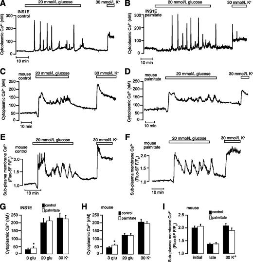 Figure 4. Glucose-induced [Ca2+]i signaling is not impaired by long-term palmitate exposure. A–D: Wide-field epifluorescence recordings of [Ca2+]i in individual INS1E cells and mouse islets loaded with Fura-PE3. Elevation of glucose from 2 to 20 mmol/L triggers [Ca2+]i oscillations in control (A; n = 87) and palmitate-treated (B; n = 65) INS1E cells. Increase of the K+ concentration to 30 mmol/L evoked prompt and stable [Ca2+]i elevation. C and D: 20 mmol/L glucose induces [Ca2+]i oscillations in control (C; n = 6) and palmitate-treated (D; n = 6) mouse islets. The traces are quantifications from regions corresponding to the whole islet. E and F: TIRF recordings of subplasma-membrane [Ca2+]i in single cells within intact Fluo-5F–loaded mouse islets, treated or not with palmitate, and stimulated with 20 mmol/L glucose and 30 mmol/L K+. G: Mean ± SEM for the basal [Ca2+]i in the presence of 2 mmol/L glucose and the amplitudes of the [Ca2+]i increases triggered by 20 mmol/L glucose or 30 mmol/L K+ in control and palmitate-treated INS1E cells. *P < 0.05 for difference from control. H: Mean ± SEM for the time-average [Ca2+]i in the presence of 3 and 20 mmol/L glucose and the amplitudes of the [Ca2+]i increases triggered by 30 mmol/L K+ in control and palmitate-treated mouse islets. *P < 0.05 for difference from control. I: Mean ± SEM for the time-average Fluo-5F fluorescence during the initial peak and the subsequent (late) responses to glucose and high K+. glu, glucose.