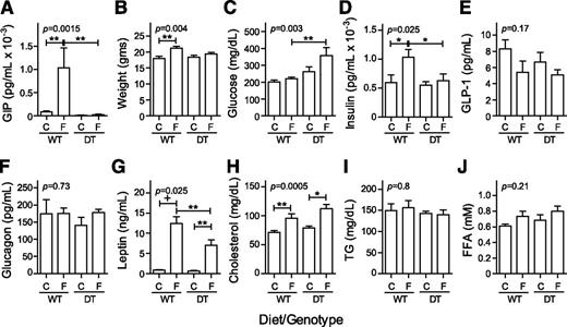 Figure 3. Metabolic markers in nonfasted mice 1 week after diet change. Male DT and WT NONcNZO10/Ltj littermates (N7; 6–12 mice per group) were fed chow (C) or HF food (F) at weaning. Blood was collected for analysis and/or plasma preparation from nonfasted mice between 10:00 a.m. and noon. Group average values ± SEM are shown for plasma total GIP (A), body weight (B), blood glucose (C), plasma insulin (D), active GLP-1 (E), glucagon (F), leptin (G), cholesterol (H), triglyceride (TG) (I), and free fatty acid (FFA) (J). *P< 0.05, **P = 0.01, and +P = 0.0001 determined by one-way ANOVA using Bonferroni correction for multiple comparisons. Pairwise comparisons were limited to DT/chow vs. DT/HF, WT/chow vs. WT/HF, and WT/HF vs. DT/HF.