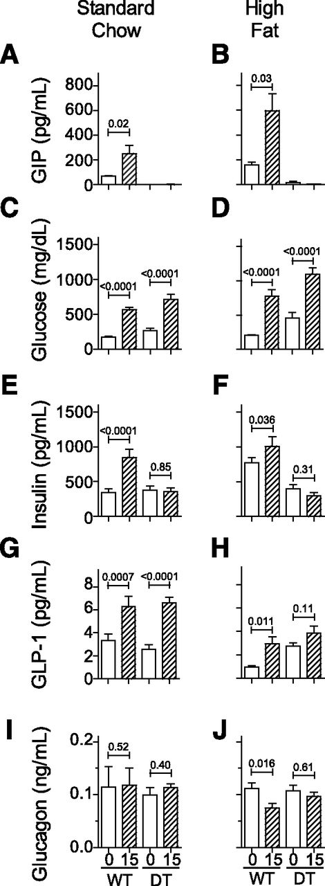 Figure 4. Metabolic response to oral nutrients. Mice from Fig. 3 were characterized 2 weeks after weaning onto standard chow (panels A, C, E, G, and I) or an HF diet (panels B, D, F, H, and J). After a 5-h fast, blood was collected for analysis and preparation of plasma before (0; □) and again 15 min after (15; ▨) administration of glucose plus intralipid by intragastric gavage. Group average values ± SEM are shown for total GIP (panels A and B), blood glucose (panels C and D), plasma insulin (panels E and F), active GLP-1 (panels G and H), and glucagon (panels I and J). For statistics, a mixed random-effects repeated-measures analysis was performed on GIP, glucose, insulin, GLP-1, and glucagon with a single covariance parameter for correlation between time points 0 and 15. For GIP, glucose, and glucagon, a natural log transformation was used to stabilize the variance.