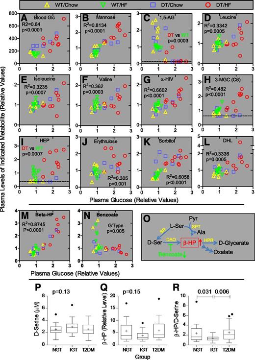 Figure 5. Metabolomic studies of mice and humans. Panels A–N: β-Hydroxypyruvate levels increase profoundly early in the pathogenesis of T2DM in mice. Biochemical profiling was conducted on plasma prepared from nonfasting male DT and WT NONcNZO10/Ltj littermates (N8; n = 7–9 mice per group) 1 week after weaning onto the indicated diet. Metabolite levels were plotted as a function of plasma glucose levels for each mouse to allow visualization and control for intra- and intergroup variants as well as for differential rates for developing T2DM. Panel A (y-axis): Blood glucose (mg/dL) was measured at the time of blood collection, whereas all other values represent relative signals for the indicated metabolite as determined by the mass spectrometry platforms. The dotted lines indicate the lower limit of detection. R2 and P values were determined by linear regression with all samples in a single group. P values in panels C and I are only for mice being fed the HF diet because the chow and HF food supply different amounts of 1,5-AG (panel C), and 3-hydroxy 2-ethylpropionate (HEP) (panel I) was not detectable in 10 of 14 animals fed chow. The P value in panel N is for genotype effect. 3-MGC, 3-methylglutarylcarnitine; α-HIV, α-hydroxyisovalerate; DHL, dihomo-linolenate (20:3n3 or n6); Glc, glucose. Panel O: Pathways for β-hydroxypyruvate metabolism. Ala, alanine; DAO, d-amino acid oxidase; HPR, hydroxypyruvate reductase (also d-glycerate dehydrogenase/glyoxylate reductase); Pyr, pyruvate; Ser, serine; SPT, serine-pyruvate transaminase (also alanine:glyoxylate aminotransferase); SR, serine racemase. Panels P–R: β-Hydroxypyruvate–to–d-serine ratios are reduced in humans with IGT. Relative levels of d-serine (panel P) and β-hydroxypyruvate (panel Q) were measured in plasma from fasting humans with NGT (n = 19), IGT (n = 20), and T2DM (n = 20). Ratios for these metabolites (panel R) were determined for each individual. Plots show group values for mean (+) ± SEM, median (bar within the box), upper and lower quartiles (top and bottom of the box, respectively), and outliers (●). Significance was determined using the mixed-effects model with individual variance parameters for each group. Outliers were not excluded from the statistical analyses.