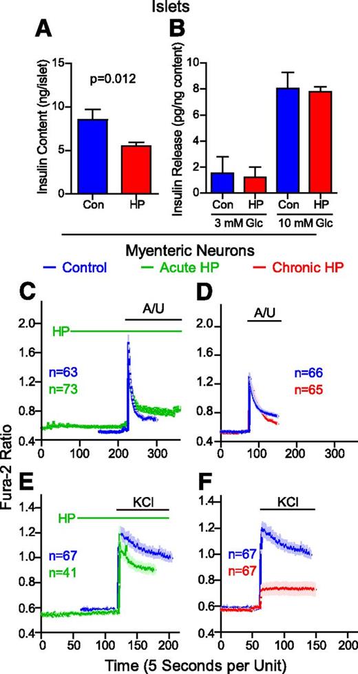 Figure 6. β-Hydroxypyruvate (HP) alters properties of islets and MENs. Insulin content (panel A) and release assays (panel B) were performed on islets from NONcNZO10/Ltj mice after a 3-day pretreatment with HP or without (control [Con]) 1 mmol/L HP. Average values ± SEM from four independent islet preparations are shown. Insulin release in response to 3 mmol/L and 10 mmol/L glucose (Glc) was normalized to the insulin content for each sample. Results from four independent islet preparations (normalized to content) are shown. Panels C–F: MENs were isolated from the proximal small intestine of guinea pigs, cultured for 7 days, and loaded with Fura-2, and calcium imaging studies were done. Some MENs were treated with 1 mmol/L HP only during (acute; green tracings) or for 3 days before but not including (chronic; red tracings), imaging studies. Control cultures for HP treatment were incubated with vehicle alone (phosphate buffer; blue tracings). Neurons were excited with the combination of A/U (100 μmol/L each) or 50 mmol/L KCl. Values are group mean (dark line) ± SEM (light-colored bars).
