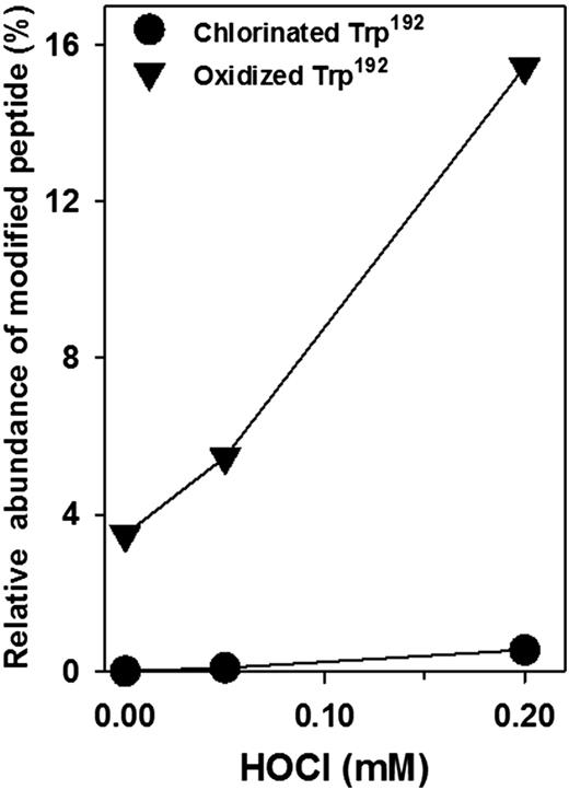 Figure 4. Effect of HOCl treatment on chlorination and oxidation of W192 of the α1NC1 domain within NC1 hexamer of collagen IV isolated from rat kidneys. Isolated NC1 hexamers were incubated in 50 mmol/L TBS, pH 7.4, for 2 h at 37°C alone or with the indicated concentrations of HOCl. Samples were analyzed using LC-MS/MS, as described in research design and methods.