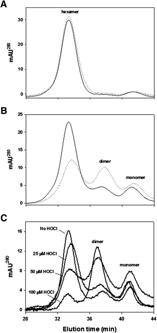 Figure 6. Refolding and assembly of diabetic and HOCl-modified NC1 hexamers of collagen IV. NC1 hexamers isolated from kidneys of control (solid line) and diabetic (dotted line) rats were incubated in 50 mmol/L Tris acetate buffer, pH 7.4, at 4°C (A) or in the same buffer supplemented with 6 mol/L GdnCl at 80°C for 30 min (B). Samples were injected onto an FPLC gel filtration column equilibrated with 50 mmol/L Tris acetate buffer to allow for NC1 domain refolding and hexamer assembly and were analyzed as described in research design and methods. C: Isolated rat renal NC1 hexamers were incubated in 50 mmol/L TBS, pH 7.4, or in the same buffer supplemented with the indicated concentrations of HOCl for 2 h at 37°C. The final protein concentration was 0.2 mg/mL. Samples were then supplemented with 6 mol/L GdnCl and incubated at 80°C for 30 min. Samples were injected onto a gel filtration FPLC column and analyzed as in A and B. AU, absorbance unit.