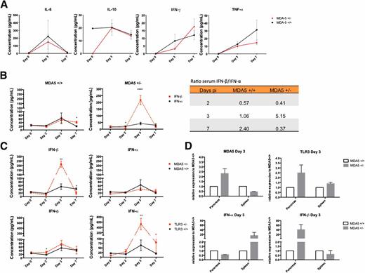 Figure 2. MDA5 expression alters the levels of type 1 IFN and not inflammatory cytokines that respond to CB4 infection. Cytokines were measured by FACS bead array (A) and ELISA (B and C) in sera harvested from MDA5+/+ (n = 8–15) and MDA5+/− (n = 8–15) mice before infection (day 0) and days 2, 3, and 7 post–CB4 infection. Statistical significance was determined by Student t test. *P < 0.05, **P < 0.001, and ****P < 0.0001. D: Relative mRNA expression levels of MDA5, TLR3, and IFN-I from the spleen and pancreas from MDA5+/+ (n = 8–10) and MDA5+/− (n = 8–10) mice at days 0 (not shown), 3, and 7 (not shown) post–CB4 infection were quantified by quantitative real-time PCR and normalized to GAPDH. The comparative Ct method was used to calculate mean relative expression ± SEM against MDA5+/+ mice as described in research design and methods. Data shown are from duplicate samples from two independent experiments.