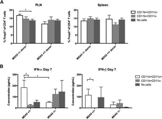 Figure 4. CD11b+CD11c+ cells from MDA5+/− mice polarize a regulatory T-cell response. APCs (CD11b+ CD11c+ or CD11b+ CD11c−) isolated from MDA5+/− or MDA5+/+ spleens were adoptively transferred to MDA5+/+ (n = 10–15), MDA5+/− (not shown, n = 10–15), and MDA5−/− (not shown, n = 10–15) recipients. After 24 h, recipient mice including age-matched controls that did not receive cells (no cells) were infected with 400 pfu CB4. A: After 7 days pi, lymphocytes from spleen and PLN of infected mice were stained for FACS analysis. B: IFN-I concentrations in serum from recipient mice were measured by ELISA as described in research design and methods. Data shown are means ± SEM of pooled samples from three independent experiments. P values were determined using Student two-tailed paired t test. *P < 0.05.
