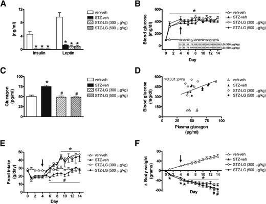 Figure 1. Normalization of hyperglucagonemia with GLP-1 receptor agonist liraglutide is not sufficient to ameliorate hyperglycemia in uDM. Plasma insulin and leptin (A), fed blood glucose levels (B), plasma glucagon levels (C), correlations between blood glucose and plasma glucagon levels (D), mean daily food intake (E), and body weight change (F) in nondiabetic controls (veh-veh) or in STZ-induced diabetic animals receiving subcutaneous injections of either vehicle (PBS, pH 7.4; STZ-veh) or the synthetic GLP-1 receptor agonist liraglutide (STZ-LG), in an escalating dose manner up to either 300 or 500 μg/kg (n = 8–10 per group). Arrow indicates the start of daily subcutaneous injections of liraglutide. Data represent mean ± SEM. *P < 0.05 vs. veh-veh; #P < 0.05 vs. STZ-veh.